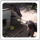 Photo ASUKPA
