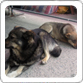 Photo ASUKPA